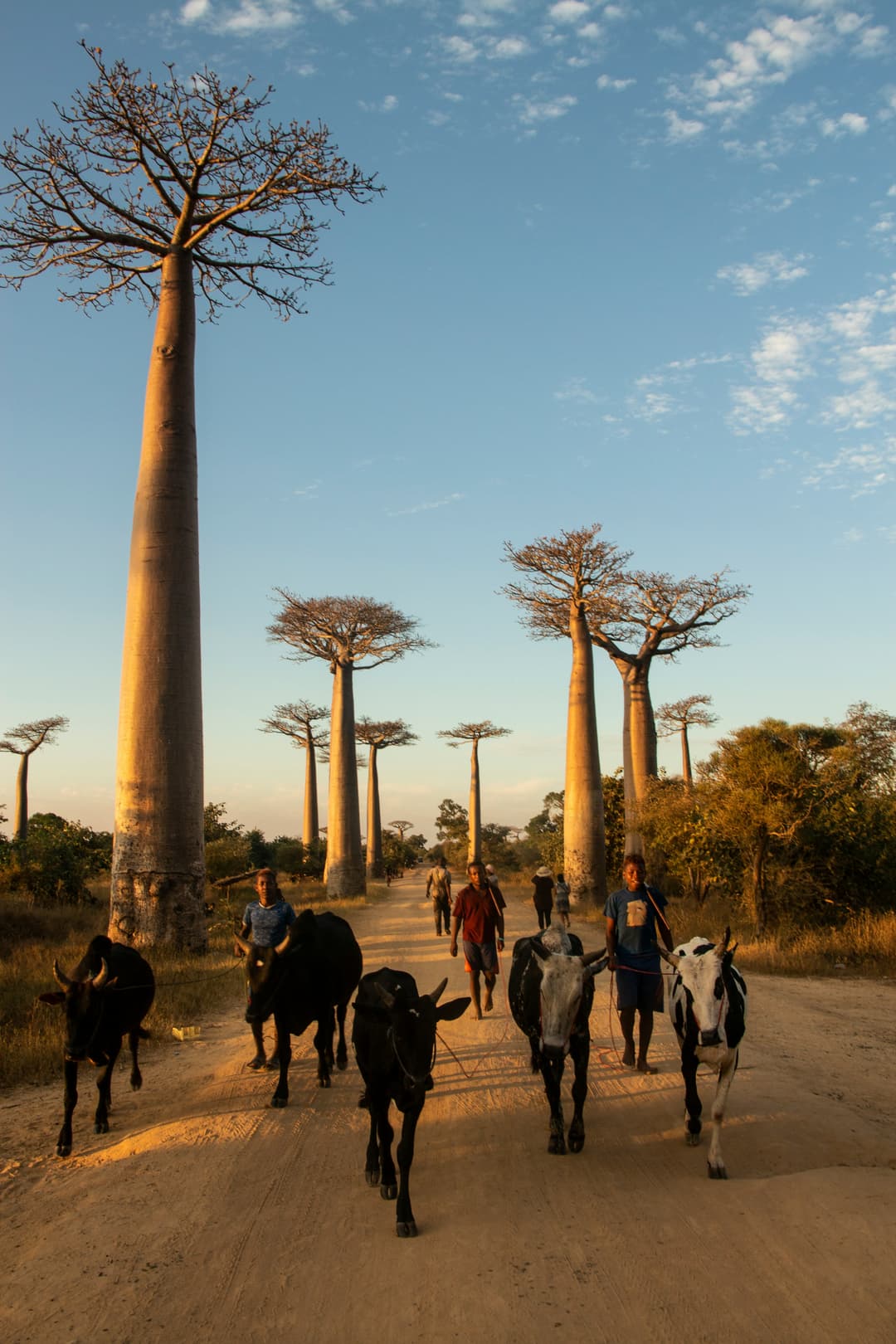 Madagascar