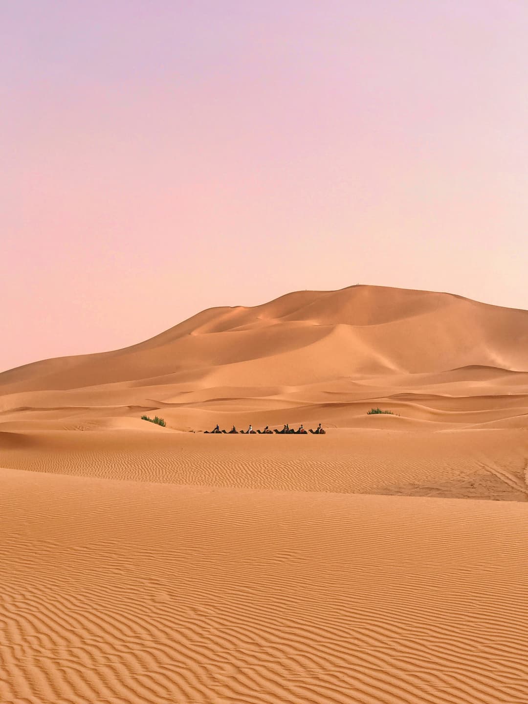 Morocco